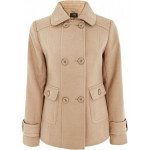 Одежда Одежда